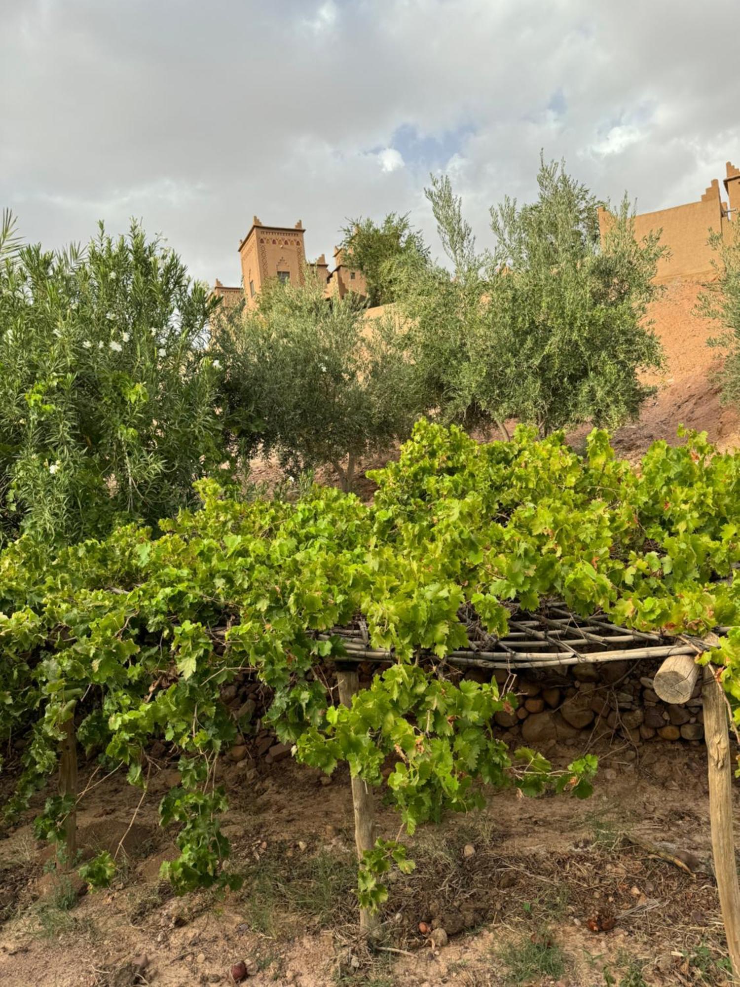 斯库拉 Kasbah Ait Benhadda酒店 外观 照片